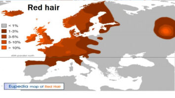 Quel pourcentage de blonds dans le monde ?
