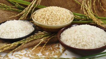 Quel riz pour perdre du poids ?
