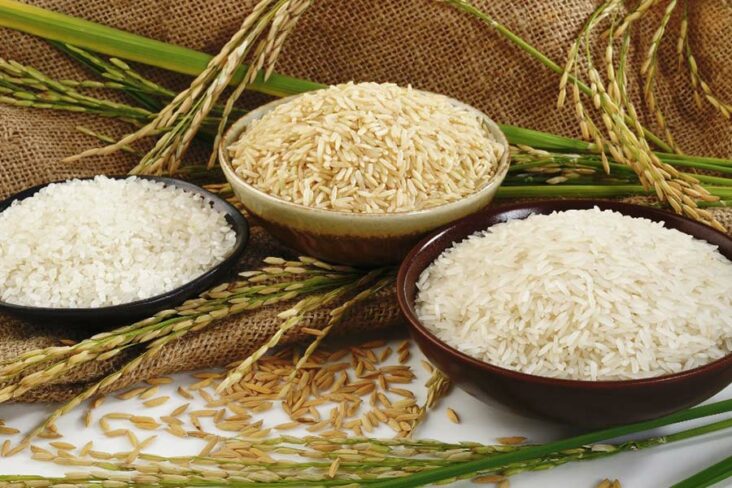 Quel riz pour perdre du poids ?
