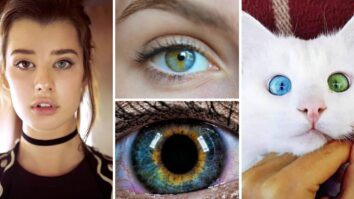 Quelle couleur de yeux et la plus rare ?