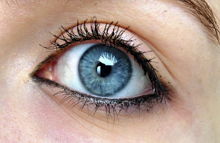 Quelle couleur pour les yeux gris ?