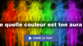 Quelle est la couleur acajou ?