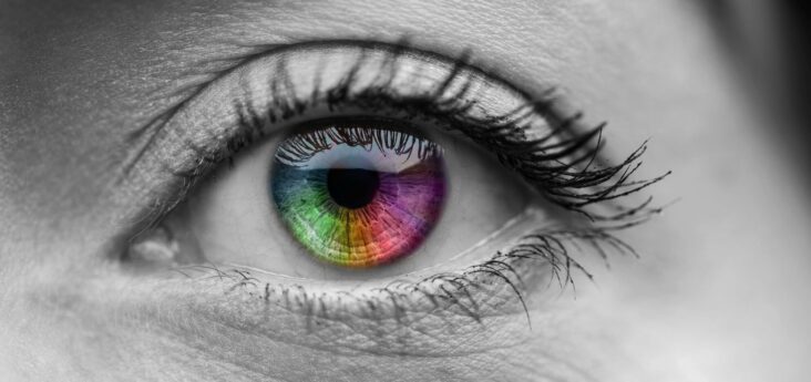 Quelle est la couleur de yeux la plus belle ?