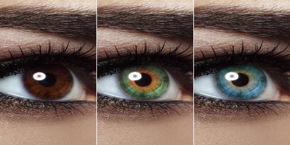 Quelle Est La Couleur Des Yeux La Plus Rare