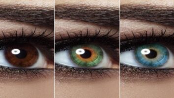 Quelle est la couleur des yeux la plus rare ?