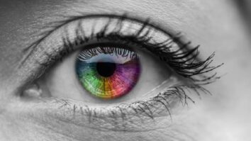 Quelle est la couleur des yeux la plus rares ?