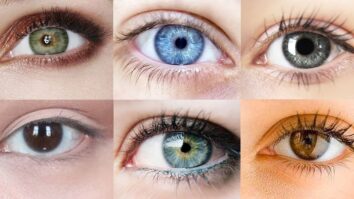 Quelle est la couleur des yeux les plus rares ?