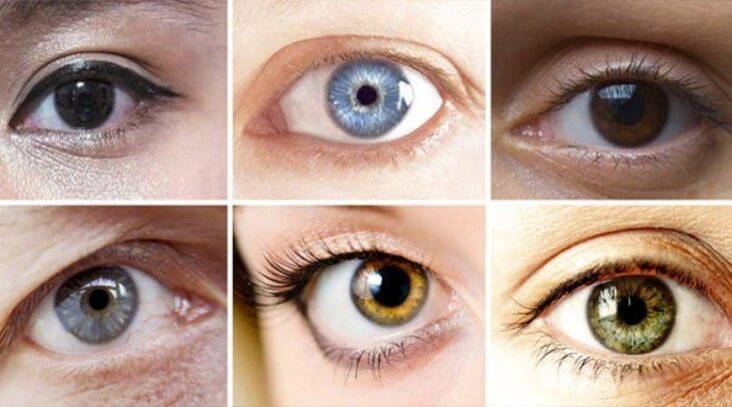 Quelle est la couleur des yeux noisette ?
