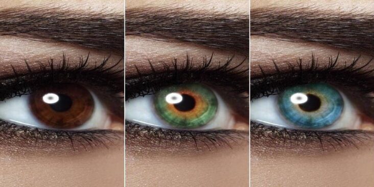Quelle est la couleurs de yeux la plus rare ?