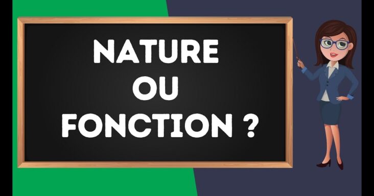 Quelle est la nature du mot brun ?