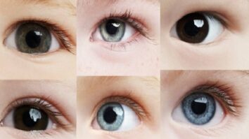 Quelle est l'origine des yeux verts ?