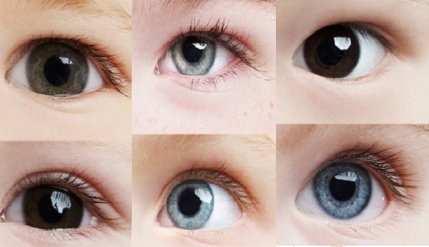 Quelle est l'origine des yeux verts ?