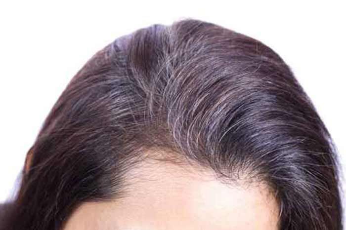 Quelle plante pour couvrir les cheveux blancs ?