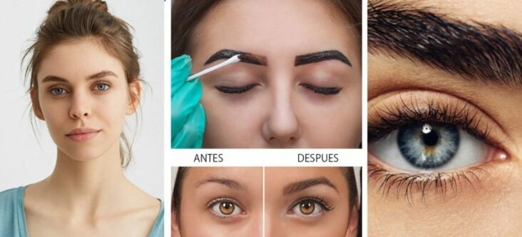 Quelle teinture pour les sourcils ?