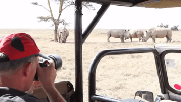 Quelle tenue pour un safari ?