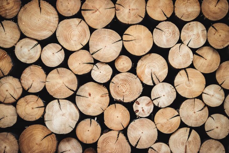 Quelles sont les vertus du bois d'ébène ?