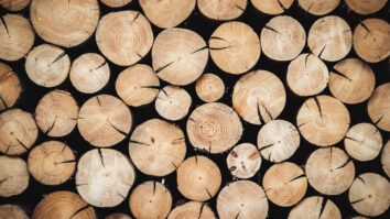 Quelles sont les vertus du bois d'ébène ?
