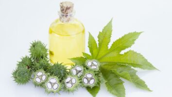Quels sont les dangers de l'huile de ricin ?