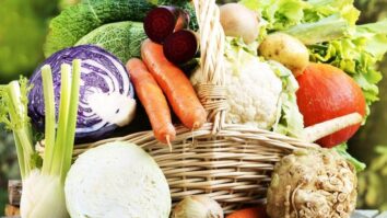 Quels sont les légumes que l'on peut manger crus ?