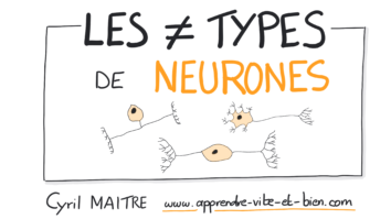 Quels sont les types de dégradés ?