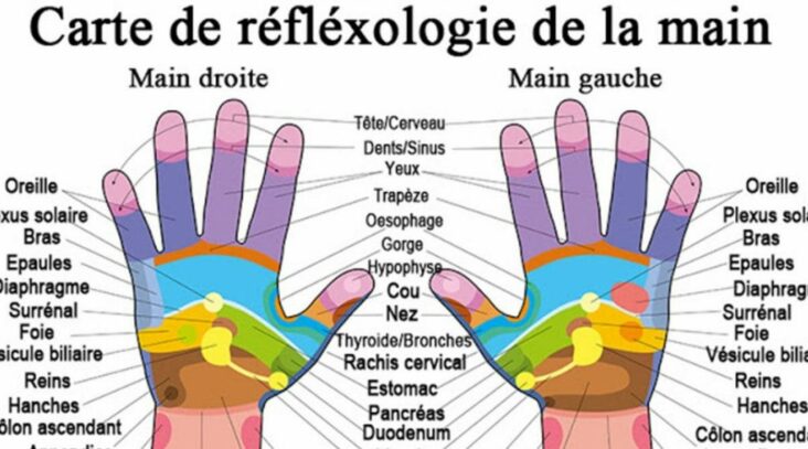 Qui se trouve synonyme ?