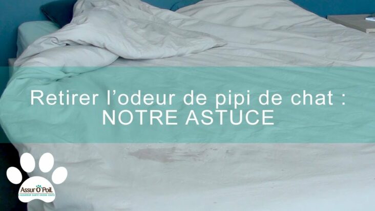 Comment enlever l'odeur d'urine sur une couette ?