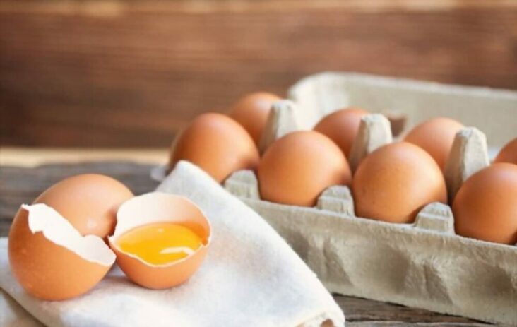 Comment savoir si un œuf à la salmonelle ?