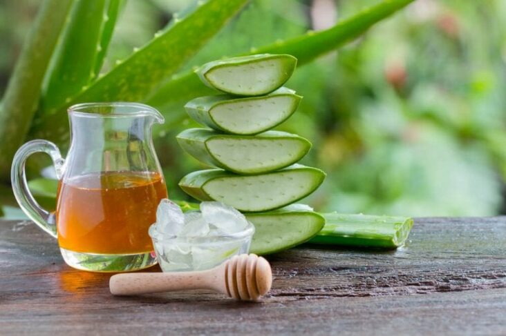 Comment utiliser l'aloe vera pour l'estomac ?