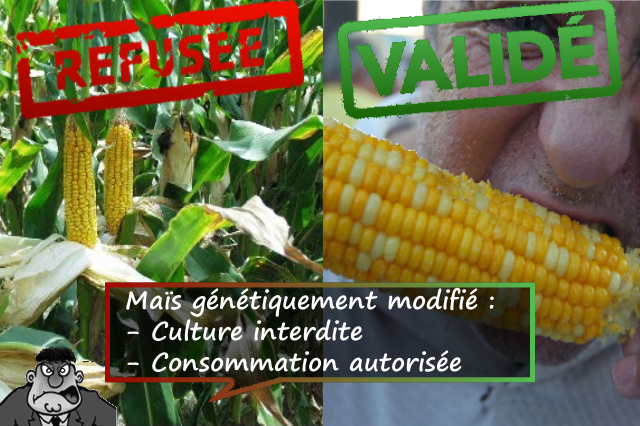 Pourquoi la France refuse les OGM ?