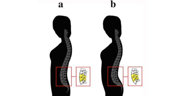 Quel corps préfèrent les hommes ?