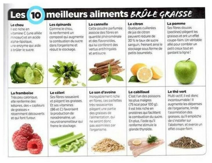 Quel est l'aliment qui brûle le plus de graisse ?