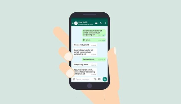 Quelle différence entre vu et lu sur WhatsApp ?