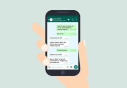 Quelle différence entre vu et lu sur WhatsApp ?