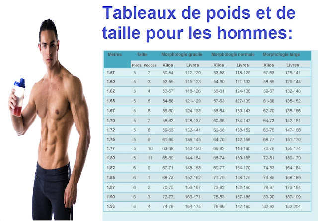 Quelle taille aime les hommes ?