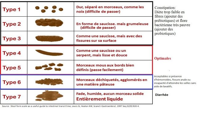 Qu'est-ce que des selles étroites ?