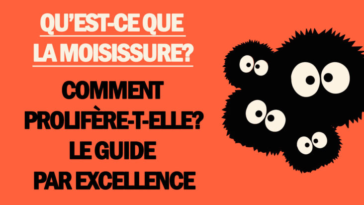 Qu'est-ce que la moisissure alimentaire ?